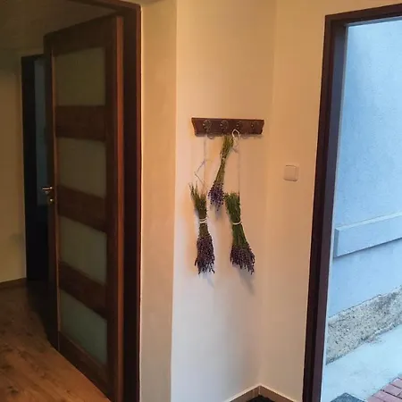 Wellness Bela Apartment